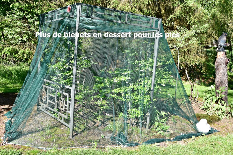 Filet anti oiseaux pour potager - 2 x 5 mètres - Vente en ligne au meilleur  prix