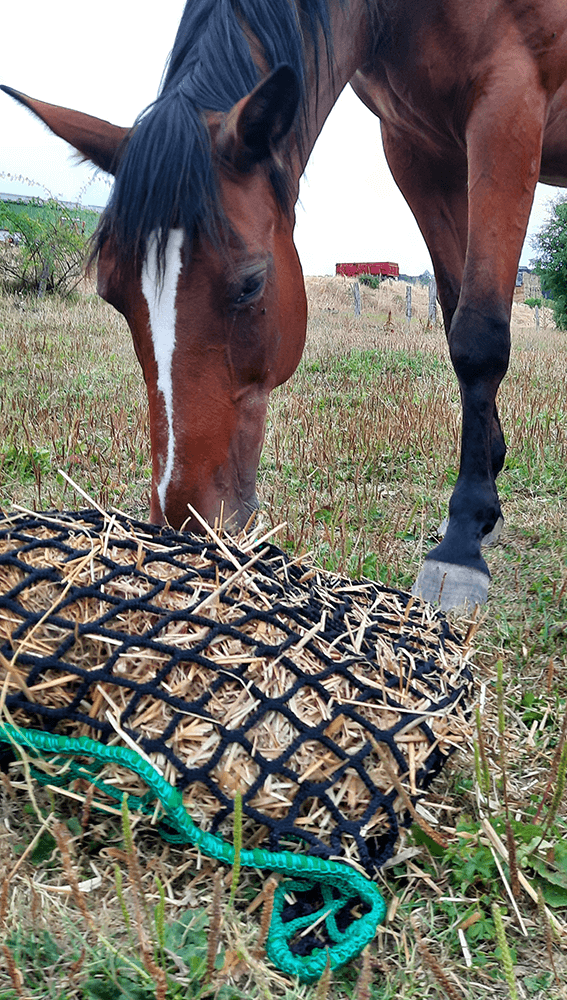 Filet à foin en forme de sac - Fil ∅ 5 mm