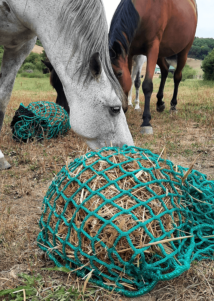 Filet à foin en forme de sac pour slow feeding