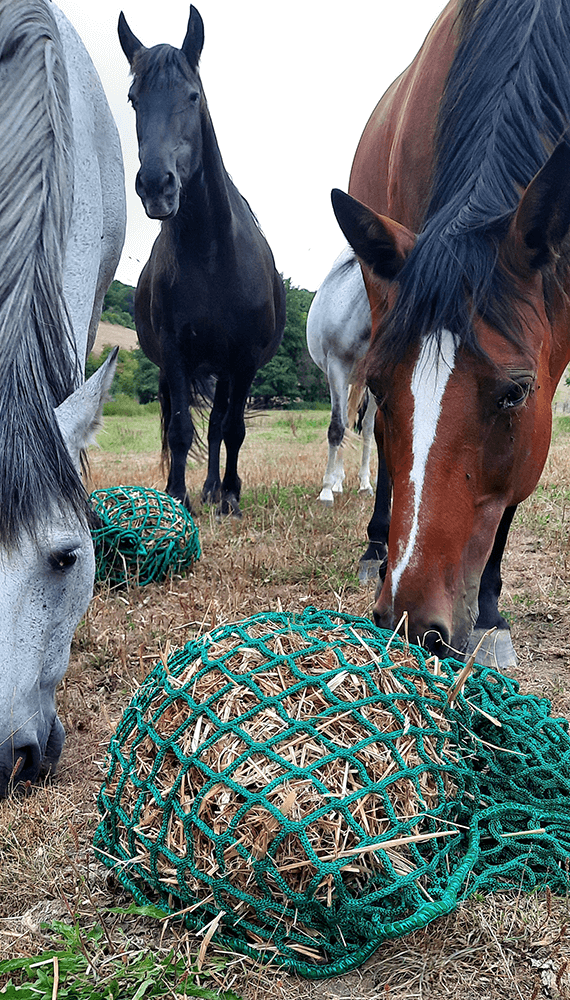 Filet à foin en forme de sac - Fil ∅ 5 mm