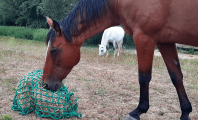 Filet à foin en forme de sac - Mailles au choix - ∅ 5 mm