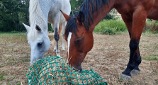 Filet à foin en forme de sac - Mailles au choix - ∅ 5 mm