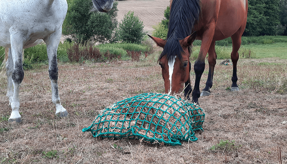 Randaco Filet à foin sac à foin filet à foin filet extrêmement résistant à  la déchirure pour chevaux moutons bovins 1 pièce 160 x 100cm