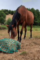 Filet à foin en forme de sac - Mailles au choix - ∅ 5 mm