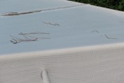 Filet anti-feuilles et salissures sur mesure - Mailles 1 x 1 mm - 110 g/m²