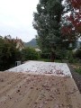 Filet anti-feuilles et salissures sur mesure - Mailles 1 x 1 mm - 110 g/m²
