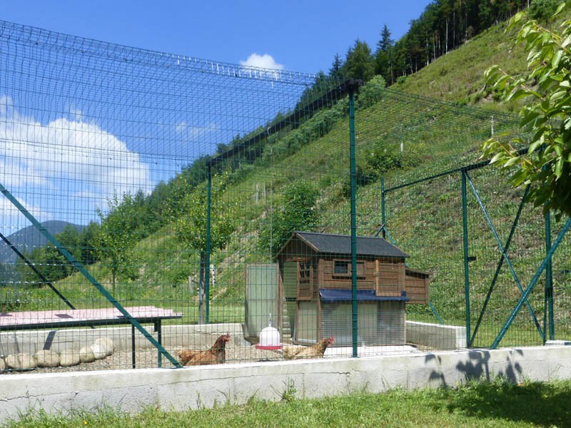 Filet de volière - Mailles 50 x 50 mm - ∅ 1,8 mm DESTOCK envoyé par un client