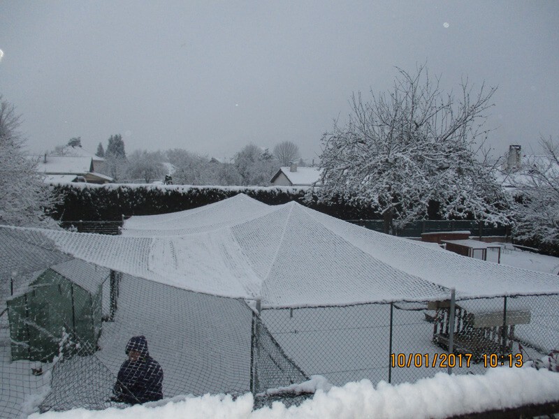 Filet de volière - Mailles 50 x 50 mm - ∅ 1,8 mm DESTOCK envoyé par un client