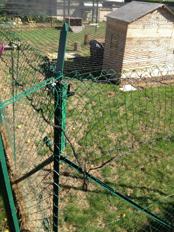 Filet de volière - Mailles 50 x 50 mm - ∅ 1,8 mm DESTOCK envoyé par un client