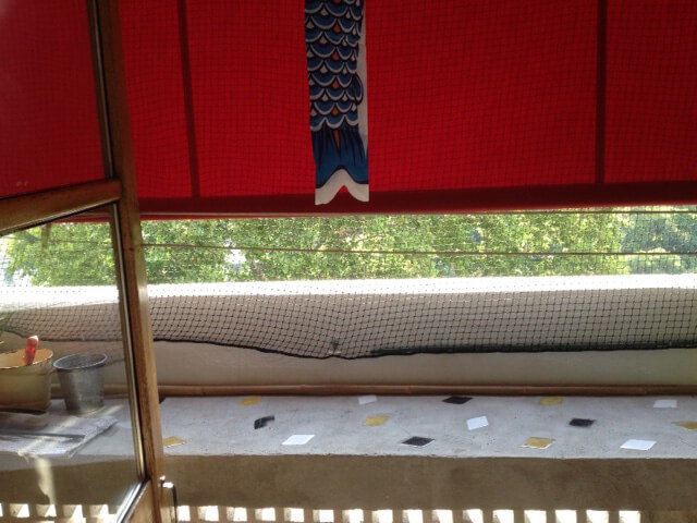 Filet de volière - Mailles 50 x 50 mm - ∅ 1,8 mm DESTOCK envoyé par un client