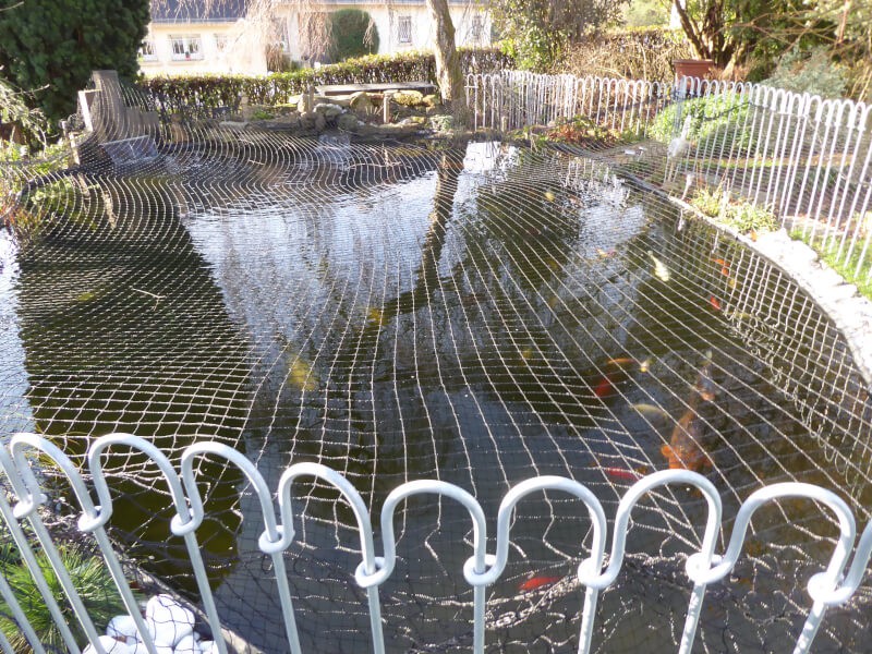 Filet de volière - Mailles 50 x 50 mm - ∅ 1,8 mm DESTOCK envoyé par un client