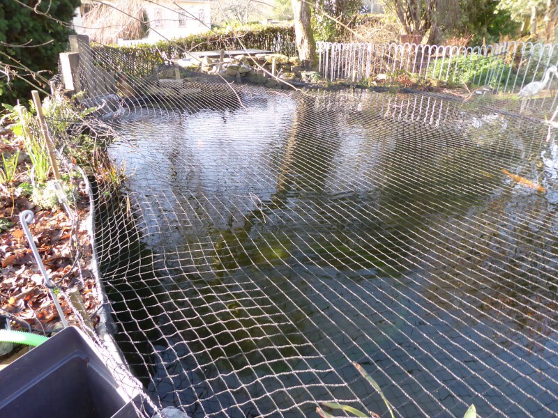 Filet de volière - Mailles 50 x 50 mm - ∅ 1,8 mm DESTOCK envoyé par un client