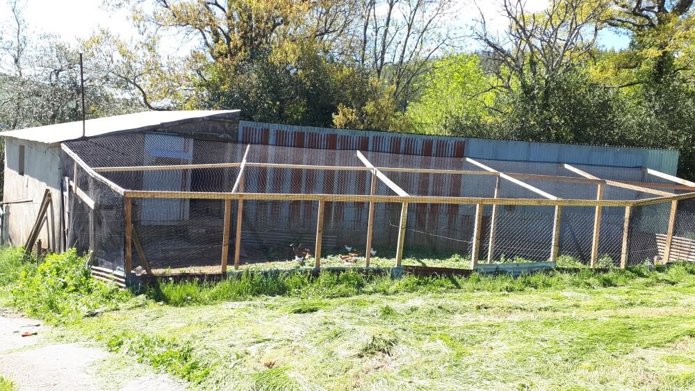 Filet de volière - Mailles 50 x 50 mm - ∅ 1,8 mm DESTOCK envoyé par un client