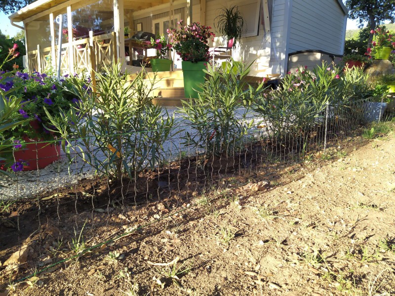 Filet pour bordure de jardin