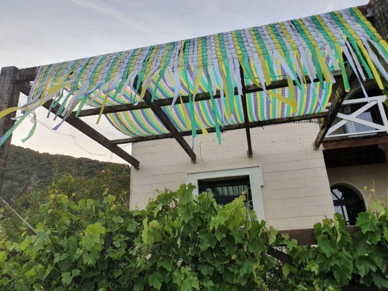 Usage original d'un filet pour recouvrir une terrasse avec bandes colorées