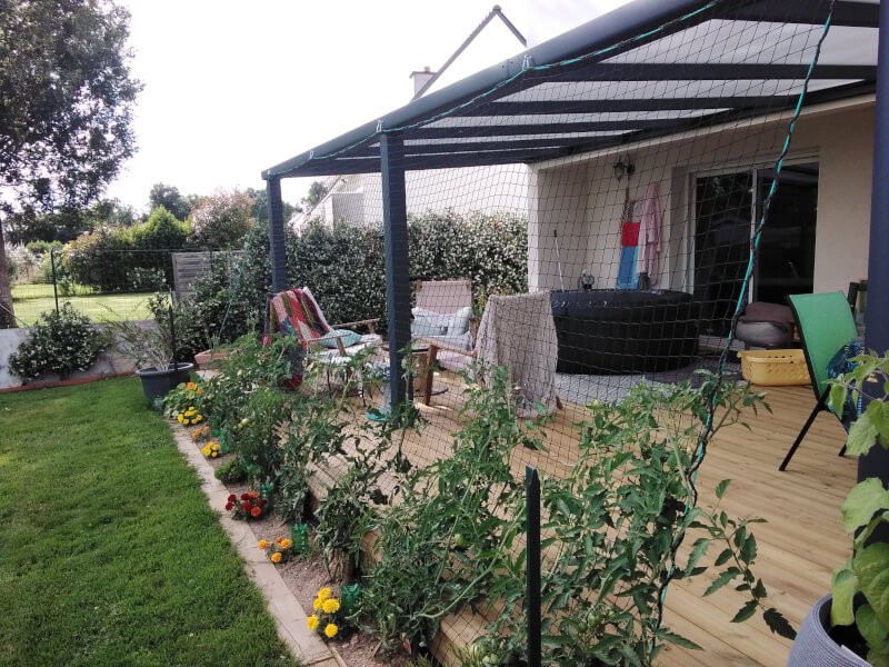 Filet pour faciliter la pousse des tomates
