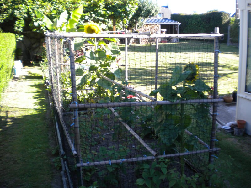 Filet de volière pour protéger un potager
