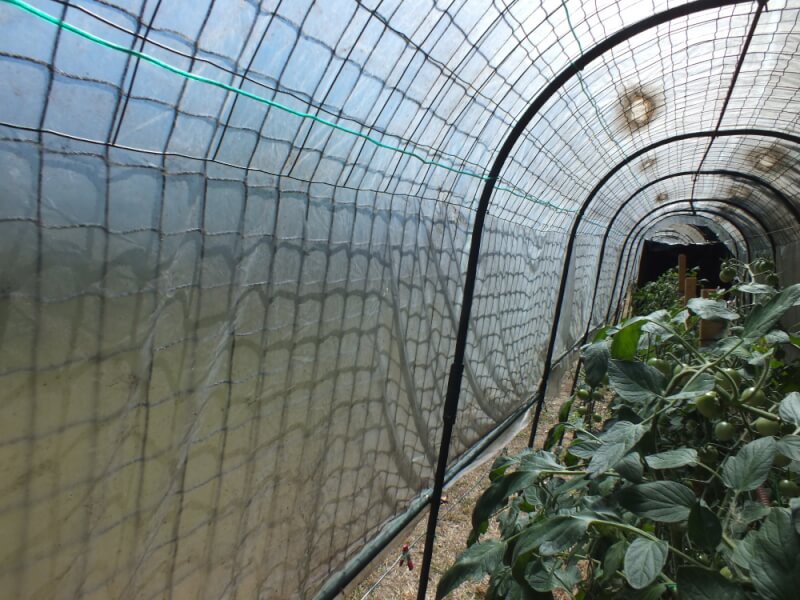 Filet de volière qui protége les serres d'un mauvais coup de vent