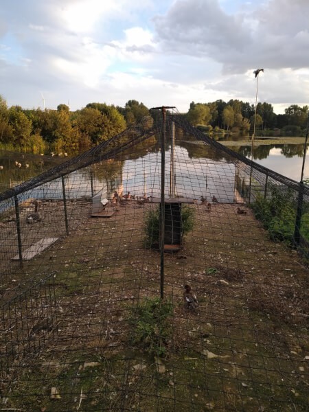 Filet de protection pour toiture volière parc à sauvagine