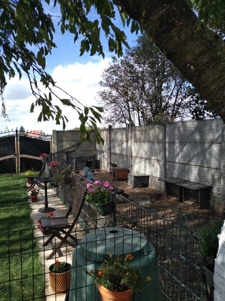 Réalisation d'un parc a sauvagine à la maison avec un filet de volière