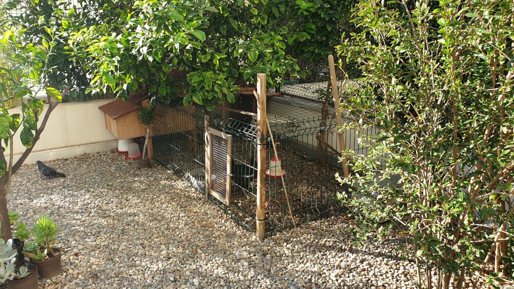 Filet de volière pour fermer entièrement un poulailler