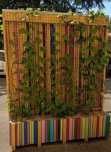 Filet pour plante grimpante