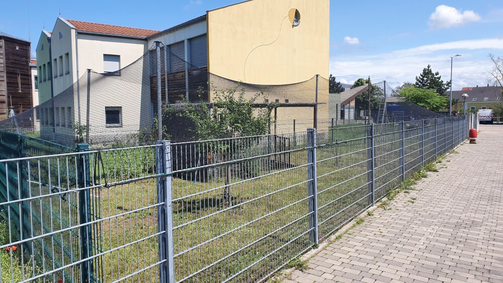 Ce filet nous a permis de couvrir totalement un enclos qui est destiné au poulailler de l'école primaire