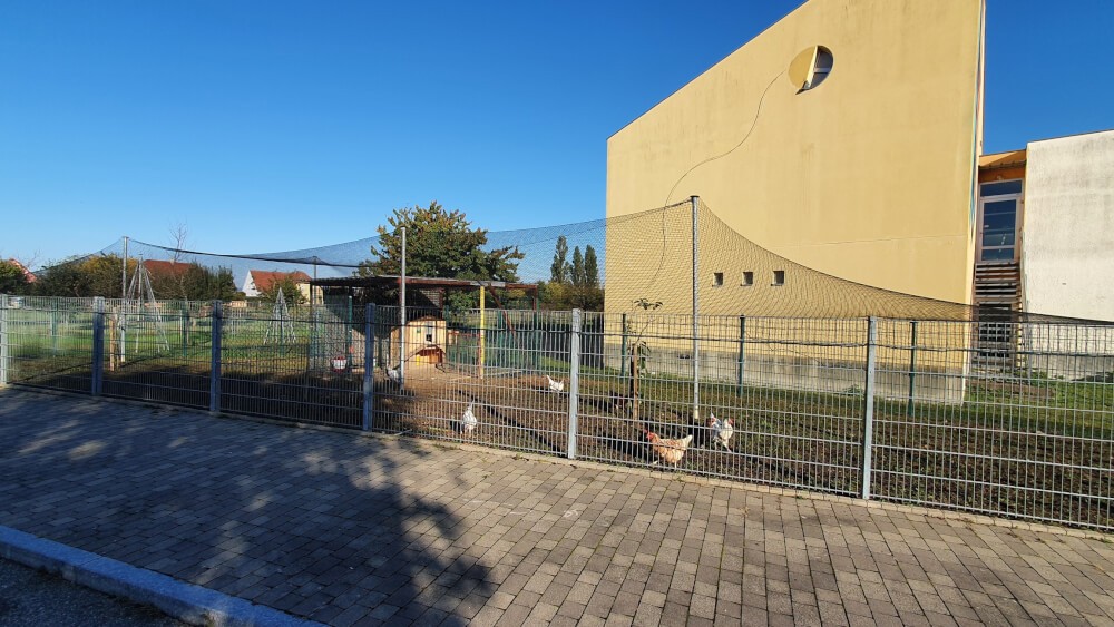 Filet de volière pour poulailler