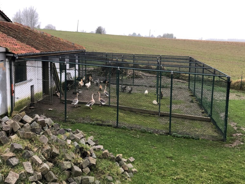Filet de volière pour couverture d'un parcours pour volaille contre la grippe aviaire