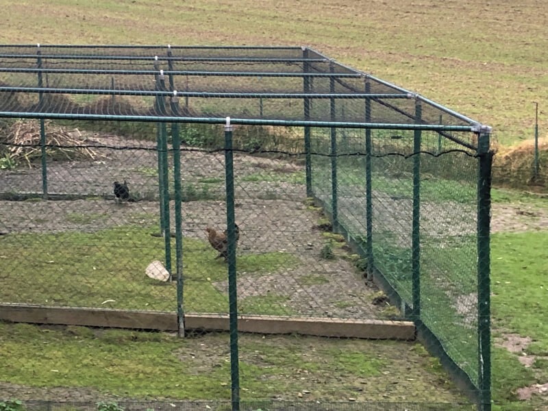 Filet de volière pour protection grippe aviaire