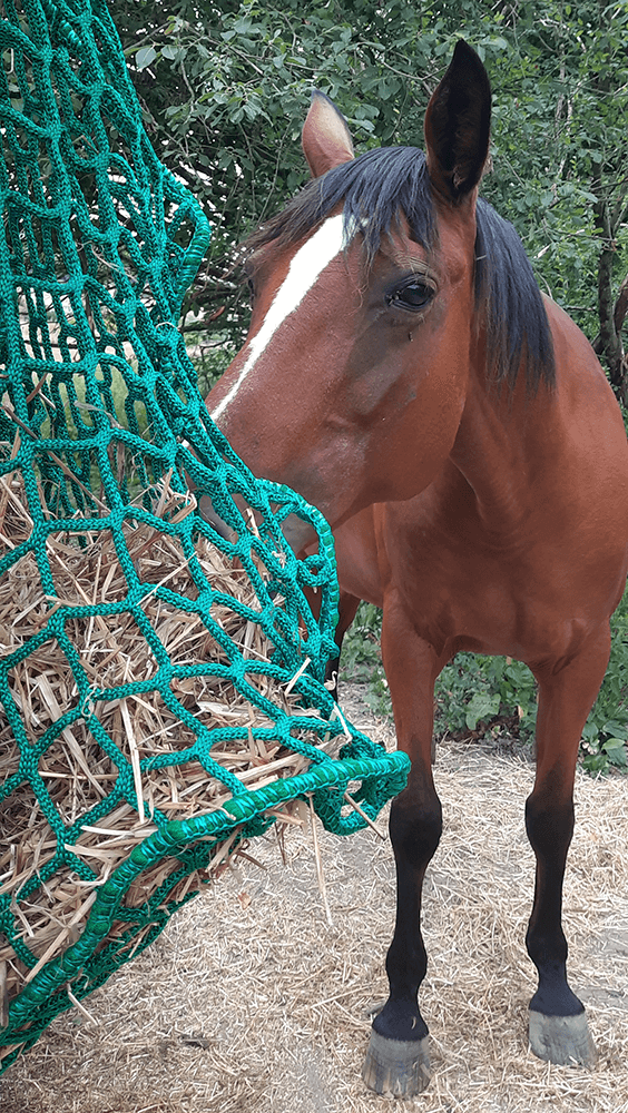 Filet à foin en forme de sac - Fil ∅ 5 mm