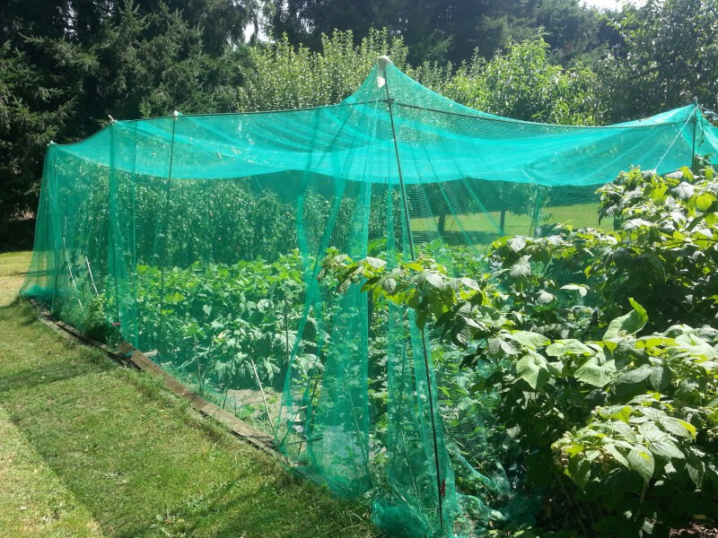 Filet Anti Insecte Potager: 3 x 6 m Maille Fine Protection pour Poireaux  Arbre Fruitier Jardinage