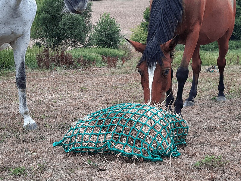 Banniere - Filets pour animaux - Filets a foin