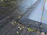 Filet anti-feuilles et salissures sur mesure - Mailles 1 x 1 mm - 110 g/m²