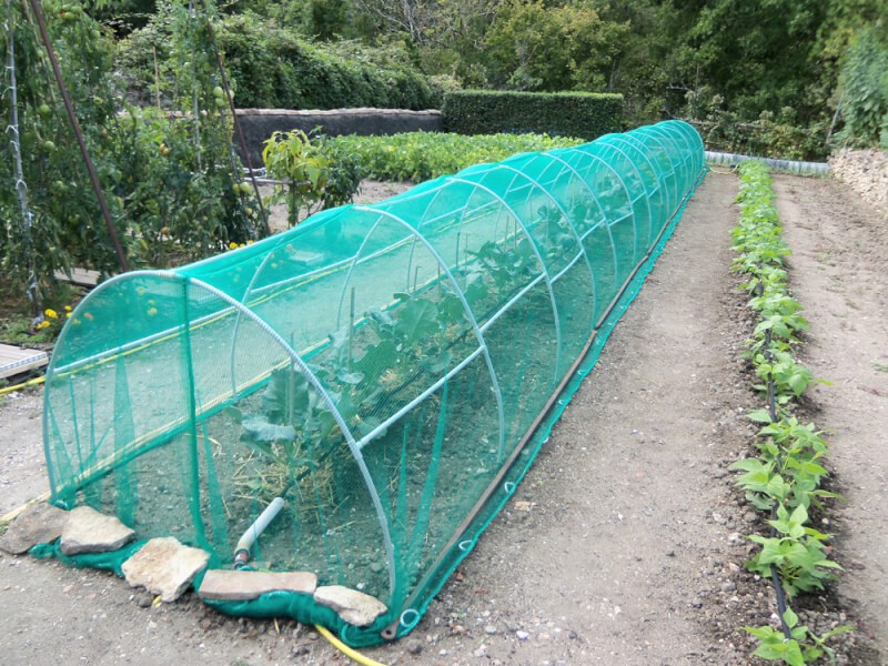 Filet anti-insectes Largeur 2,40 m - Ducatillon