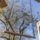 Trapèze réglable chanvre synthétique - Bois clair vernis - Cordage polypropylène ∅ 12 mm