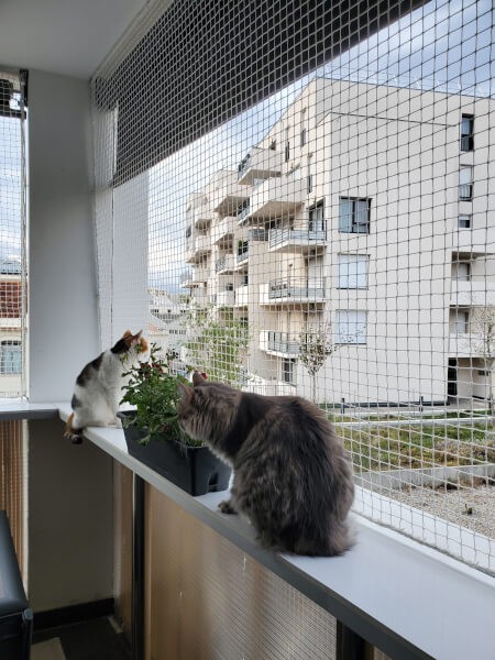 Filet de protection blanc de balcon pour chats