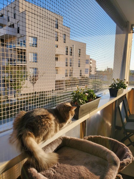 Filet de balcon blanc sécurité pour chats
