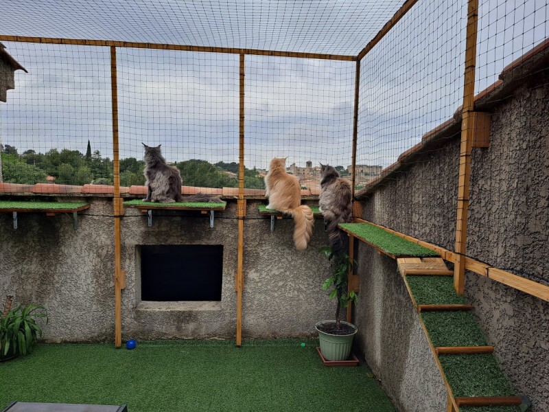 Filet de protection de terrasse pour chat anti accès toits