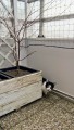 Filet de protection pour chat économique - Mailles 50 mm - ∅ 1 à 1,3 mm
