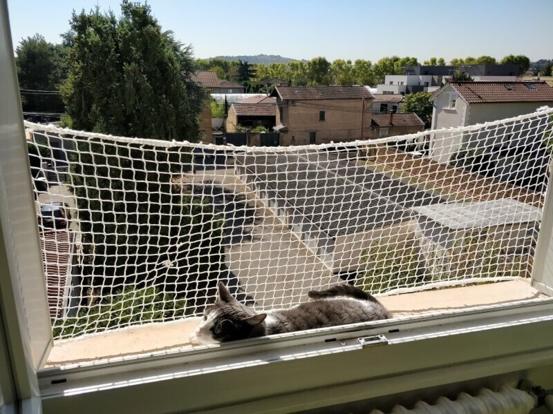 Les meilleurs filets de protection pour chat sur le balcon - Le Parisien