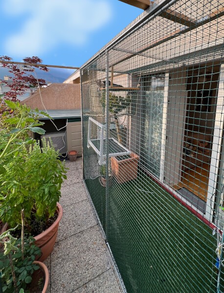 Filet de protection création d'un espace dédié pour les chats sur balcon terrasse