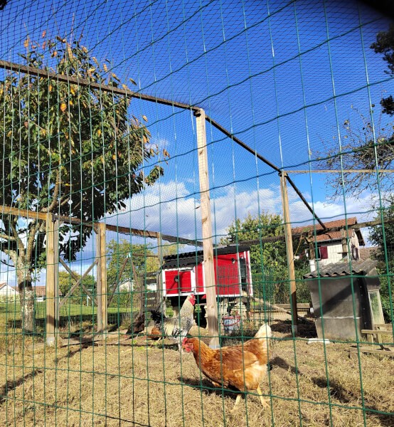 Choisir un filet de volière ou anti-oiseaux - La Fabrique à Filets