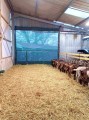Filet brise-vent - Filtration très forte - Filtration très forte (± 90%) - Très efficace contre la pluie