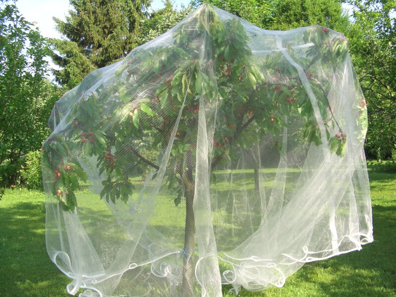 Filet Anti Insecte Potager: 3 x 6 m Maille Fine Protection pour Poireaux  Arbre Fruitier Jardinage