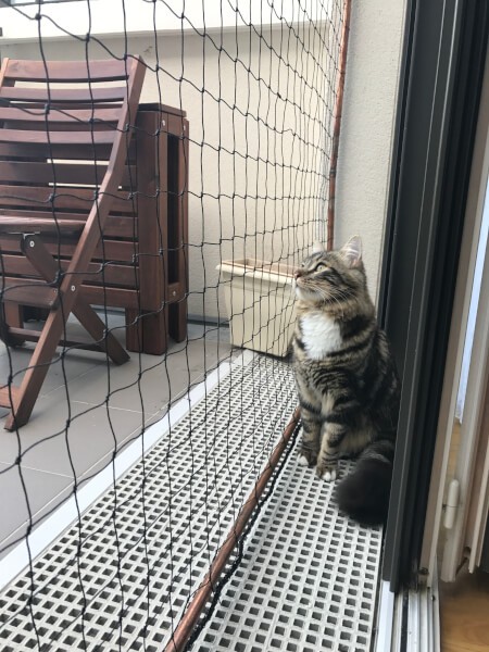 Filet de protection pour chat pour fenêtre