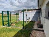 Filet de protection pour chats petites mailles - Mailles 25 x 25 mm - ∅ 1,8 mm - Tressé sans nœud