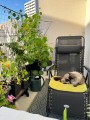 Filet de protection pour chat économique - Mailles 50 mm - ∅ 1 à 1,3 mm