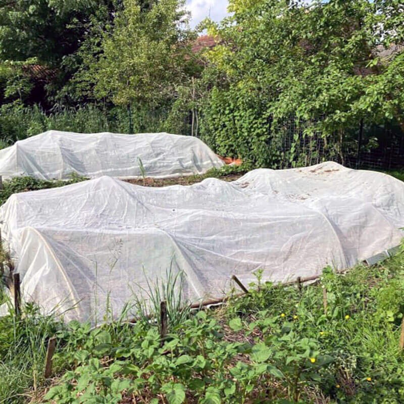 Rouleau de filet anti-insectes / moustiques - Mailles 1 mm - 110 g/m²