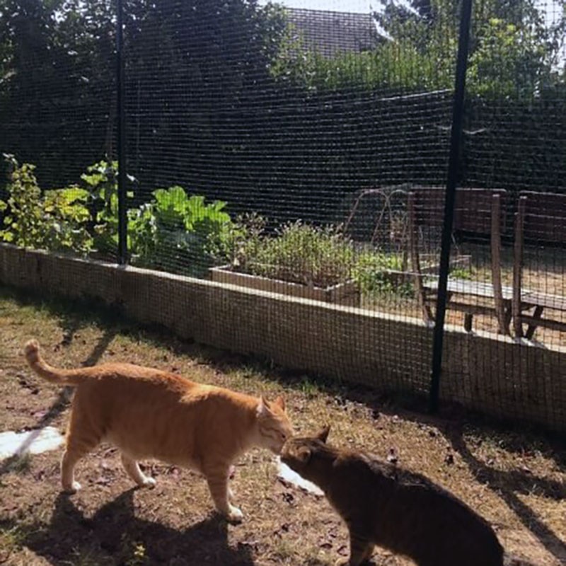 Filet de protection pour chats - Mailles 25 x 25 mm